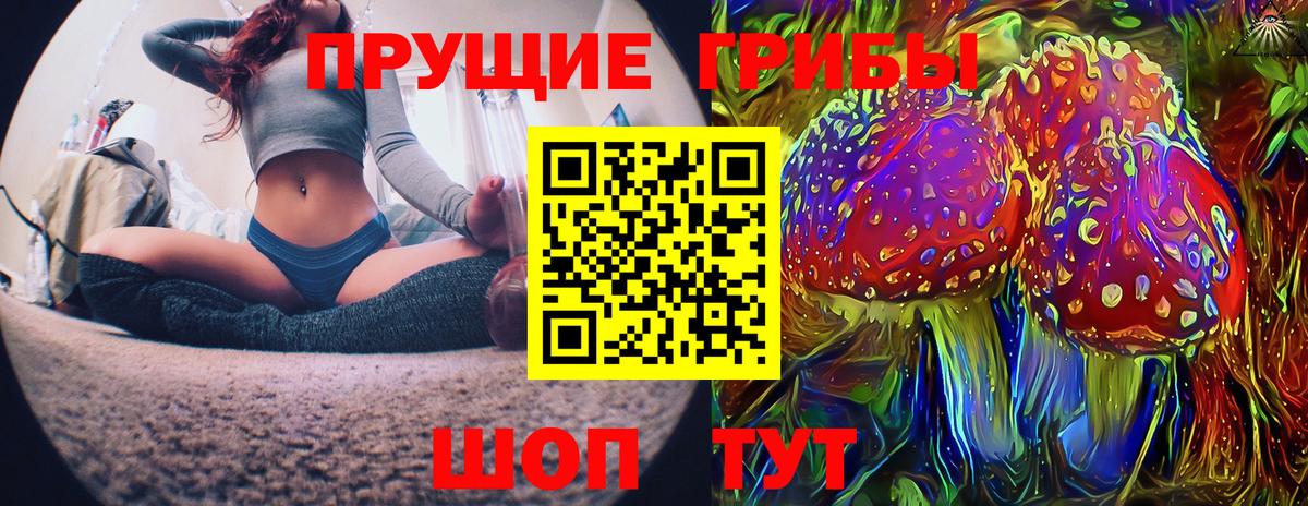 Изобильный  Галлюциногенные грибы ЛСД  Вход с VPN  Псилоцибиновые грибы Psilocybe 